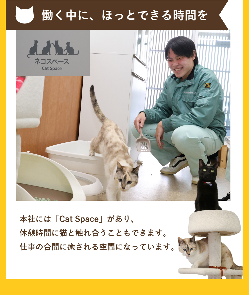 働く中に、ほっとできる時間を！本社には「Cat Space」があり、休憩時間に猫と触れ合うこともできます。仕事の合間に癒される空間になっています。